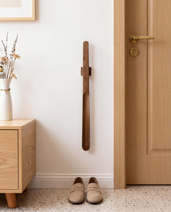 Magnetic Shoehorn